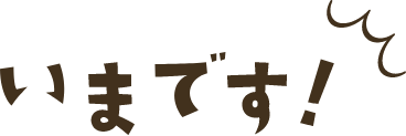 いまです！