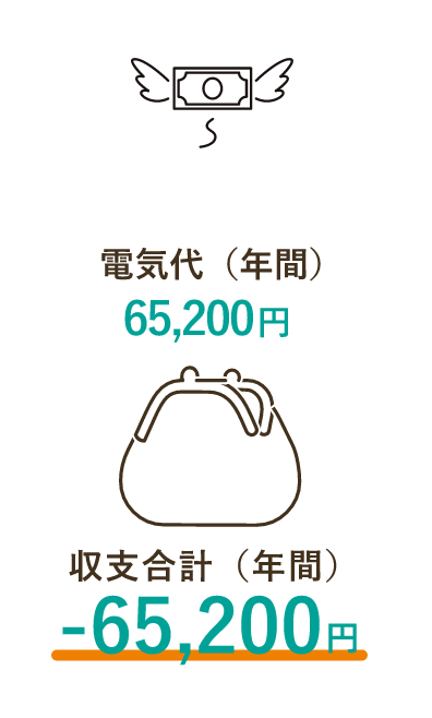 電気代（年間）65200円 収支合計（年間）-65200円